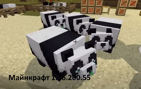 Minecraft PE 1.16.200.55 горное тобновление панды