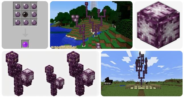 Цветок хоруса — Minecraft